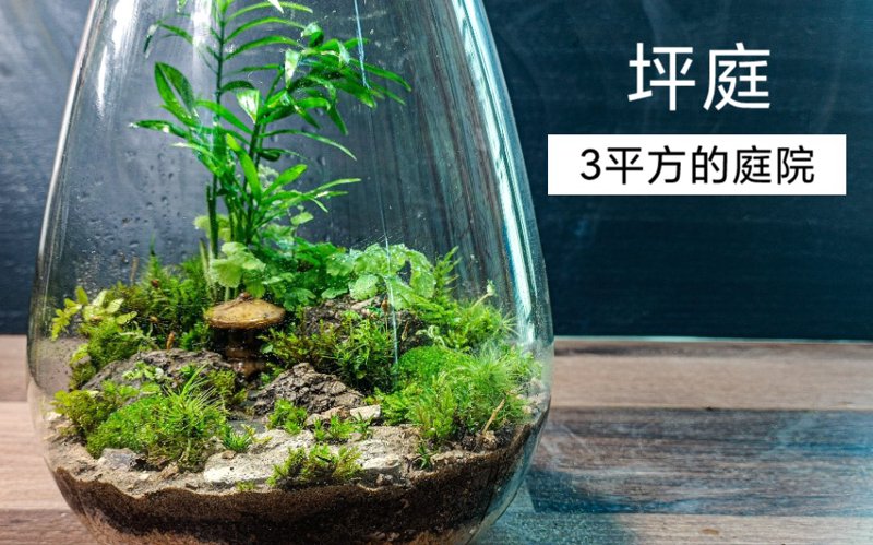 花道培训：以传统之美点亮生活艺术