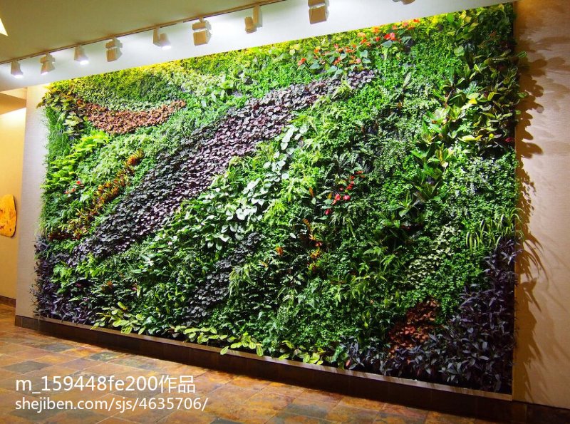 植物墙设计